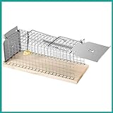 Praknu Rattenfalle Lebendfalle 30cm Groß - Effektiv und Robust - für Wühlmause und Ratten (1)